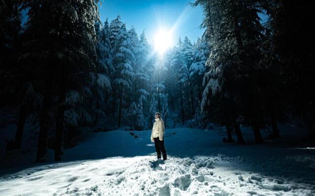 Back Wood Stays cheog