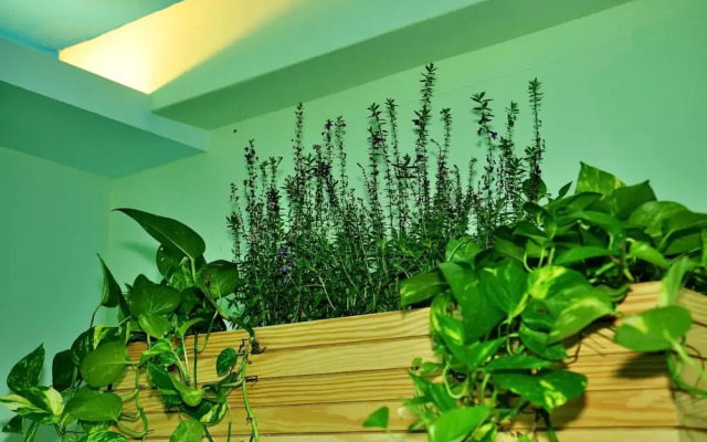 Xie Tong Homestay