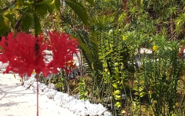 The Dream Garden Bungalow