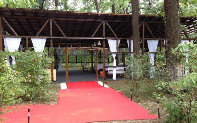 Forest Mirage Pension