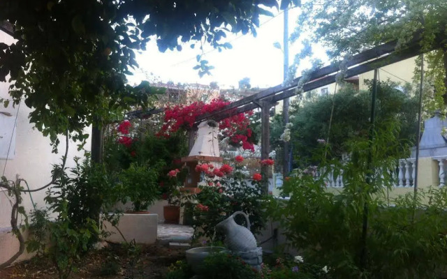 Theo Studios