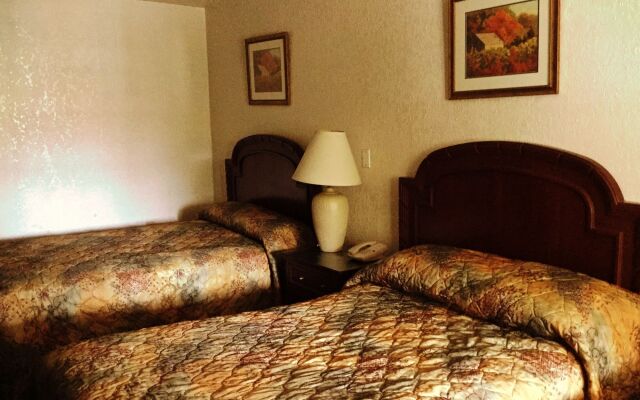 Apm Inn and Suite