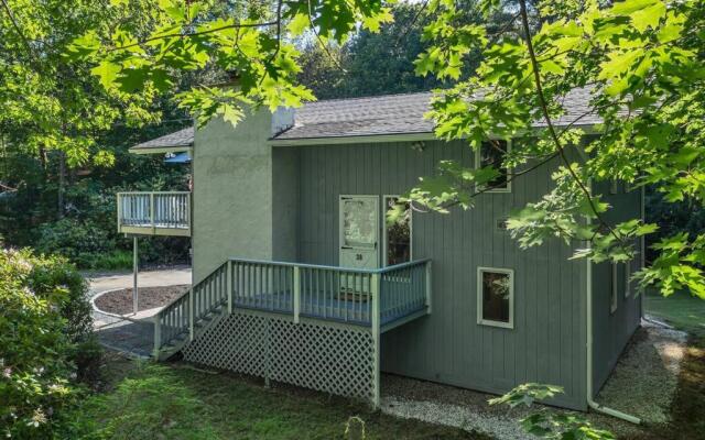 Gunstock & Lakes Region Year Round Chalet