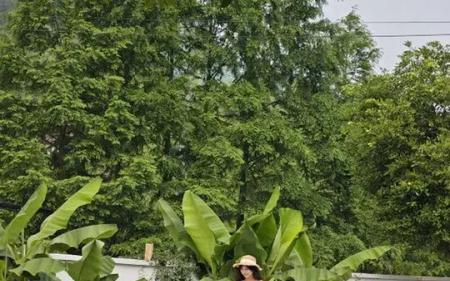 Qiqi Guesthouse