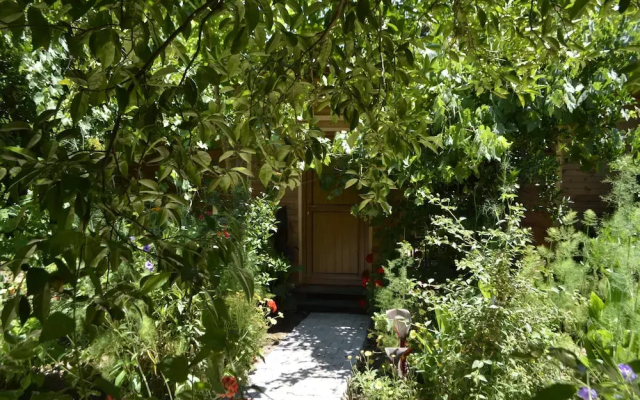 Olympos Mercan Bungalow