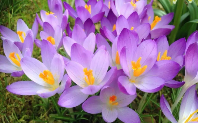 Wohlfühlhotel Sonnengarten