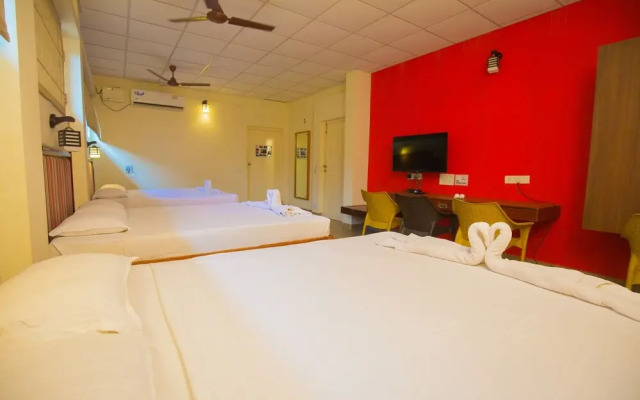 Casuarina bay