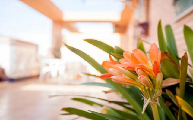 Casa Serra - PATERNA - APARTAMENTO ALQUILA 3 HABITACIONES CON GARAJE