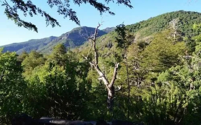 Lodge Las Trancas - Hostel