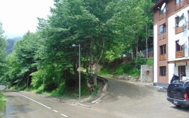 Hostel Maia