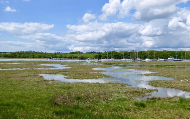 Harbour Life - Yarmouth
