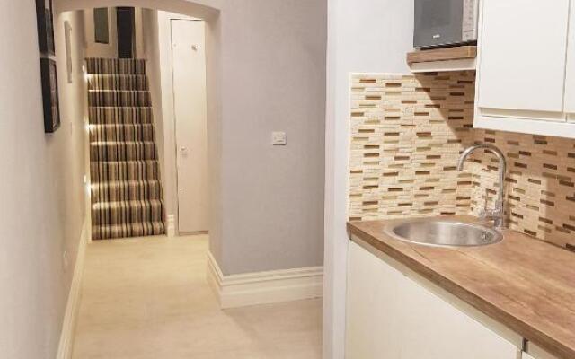 Elegantly Restored Apartment in Historic Limerick