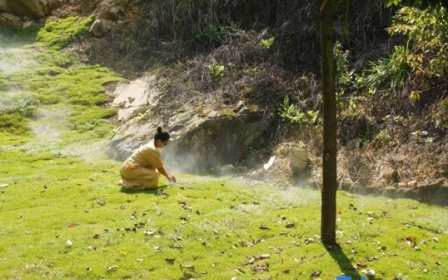 Shengshuitianyou Homestay