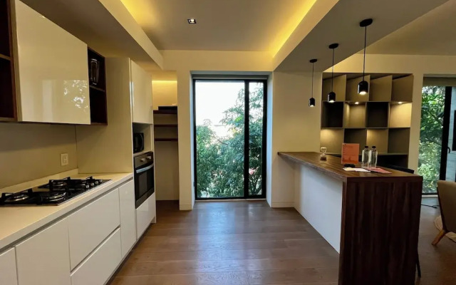 Zacatecas 502 by Wynwood House