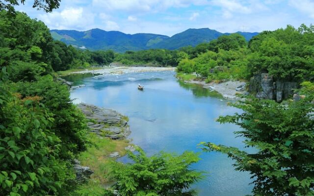 Nagatoro Choseikan Ryokan