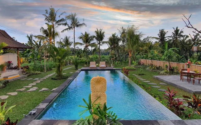 Green Coconut Cottage