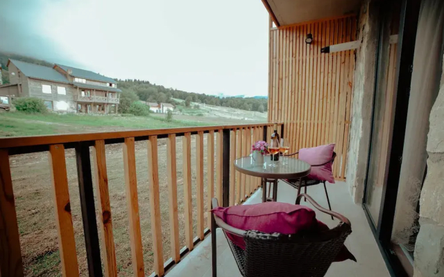 Bakuriani Plaza A317