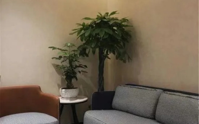 Zheli Fashionable Hotel