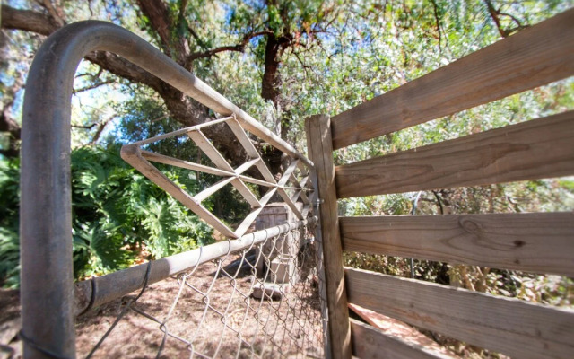 Old Swanport General Store, Swanport-Murray River