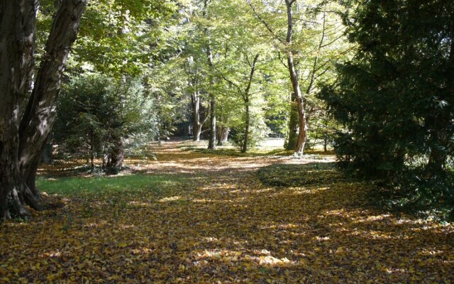 B&B Giardino Jappelli ( Villa Ca' Minotto )