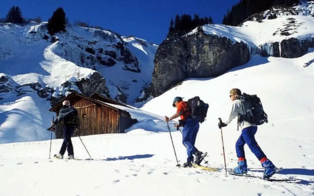 Goelia - La Grande Cordee