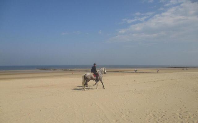 Studio On The Beach With Sea View