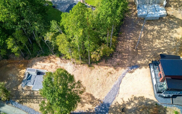 Twinkle Bear In Gatlinburg