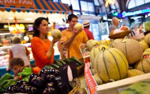 Terres de France Prayssac