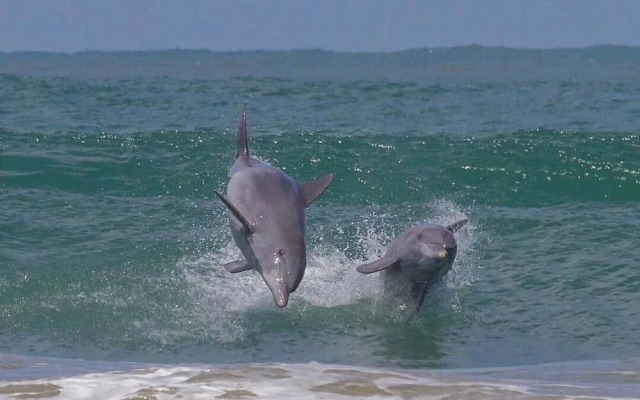 Resid. Clube Mar Grosso-Laguna - LAG604