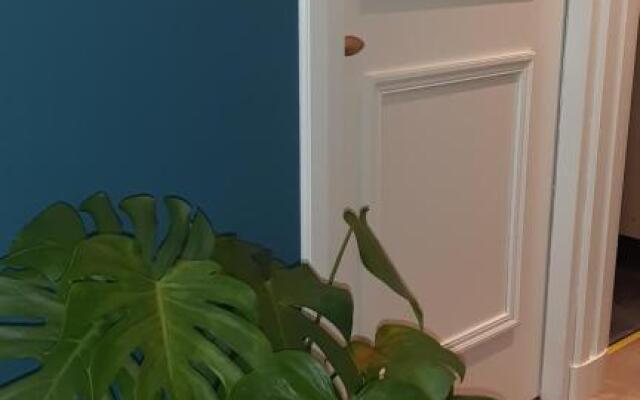 Lekkerwegbijleeuwen, 1 minuut naar hartje centrum