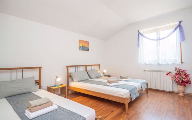 Vinka Laginji in Laginji