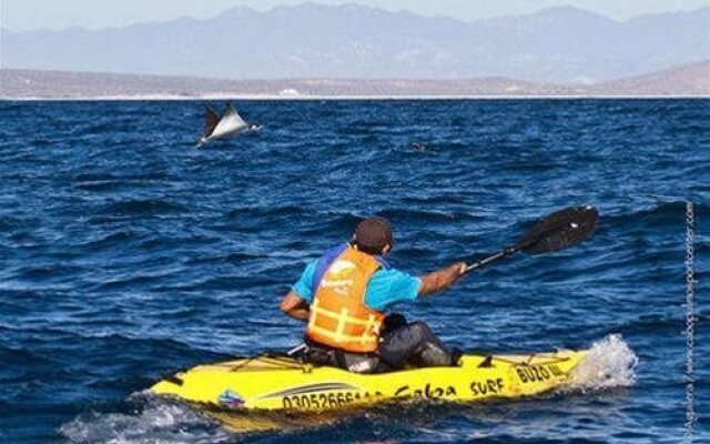 Bungalows Cabo Pulmo