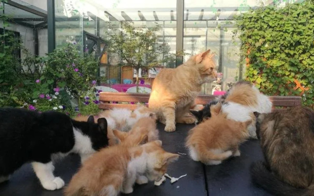 Luoyang Anximen Young Hostel