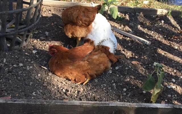 Chambre d'Hôtes Sandra