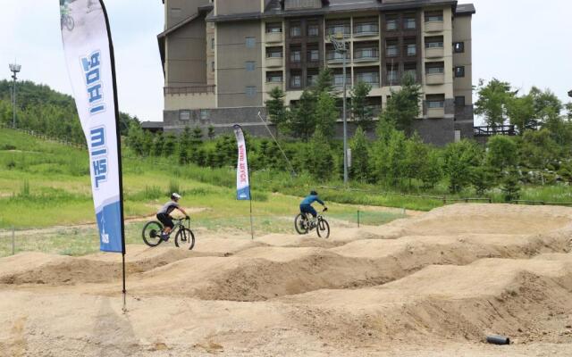 Holiday Inn Alpensia Pyeongchang Suites by IHG