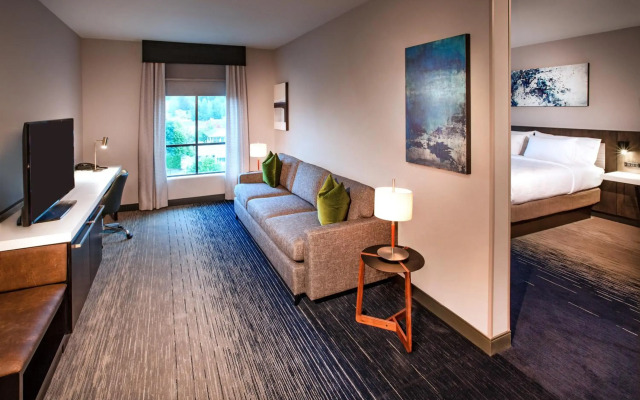 Hilton Garden Inn Redmond Seattle