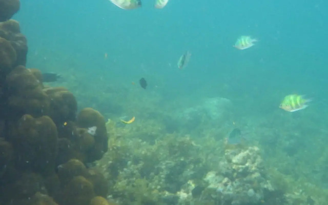 Blue Cove Island Resort
