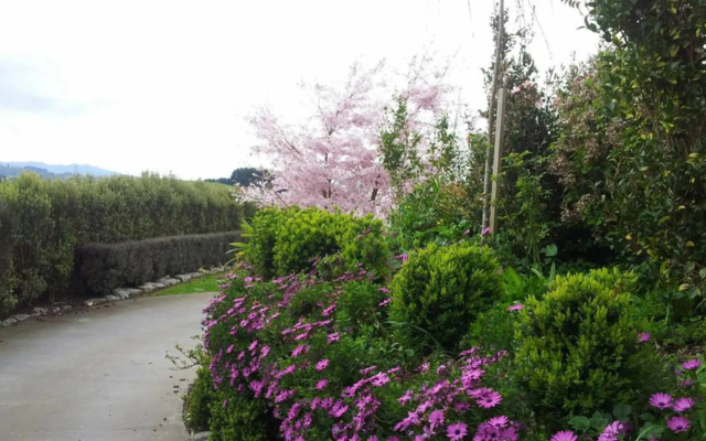 Waitomo Orchard Estate B&B