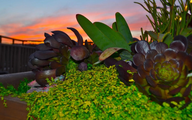 The Inn at Del Monte Beach