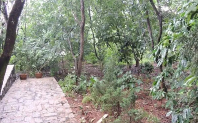 Garden Home Stay