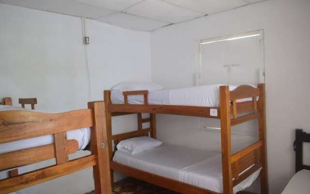 Mango Tree Hostel 4 20