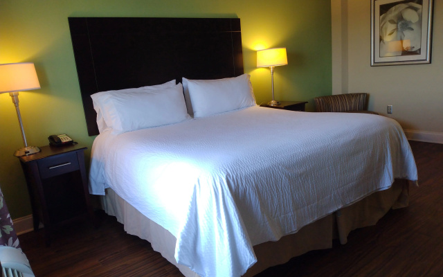 Holiday Inn Macon North by IHG