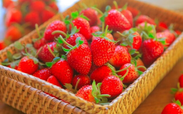 Doi Nok Strawberry Resort - ดอย นก สตรอเบอร์รี่ รีสอร์ทแอนด์เรส