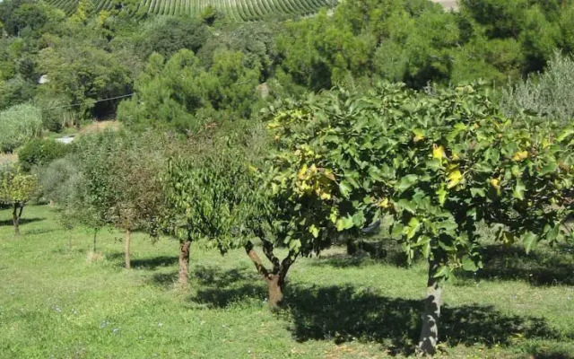 Villetta Parco Del Conero