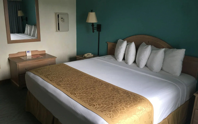 Tropical Winds Oceanfront Hotel