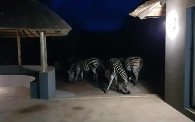 Pata Pata House