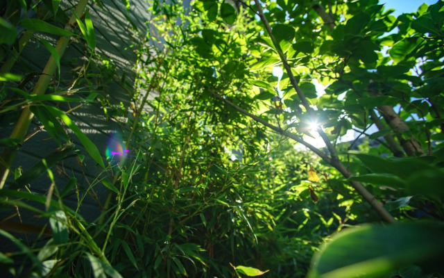 Qiuguo Hutong Courtyard Hotel