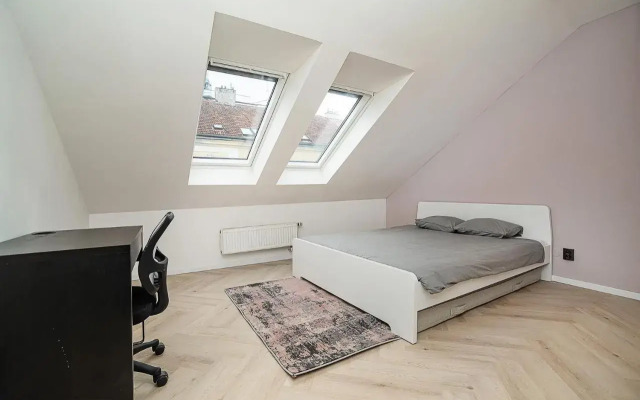 Big 4-bedroom flat, terrace with great Vítkov view