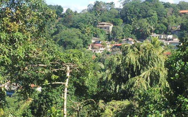 Birds' Hill Homestay