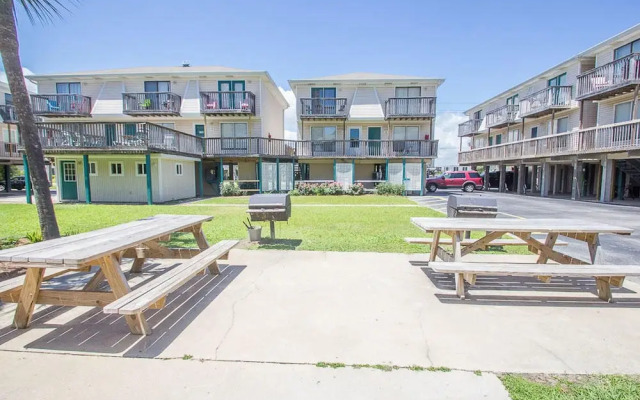 Sand Dollar by Youngs Suncoast